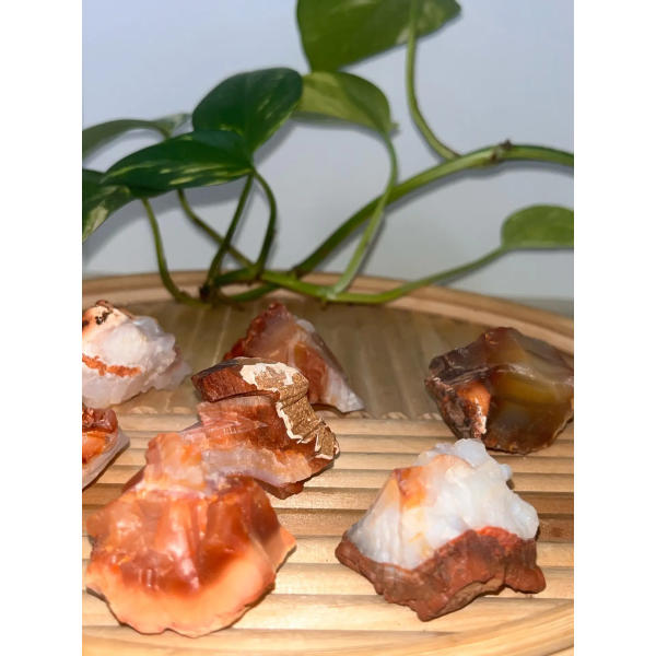 Carnelian - Image 6