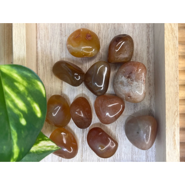 Carnelian - Image 2