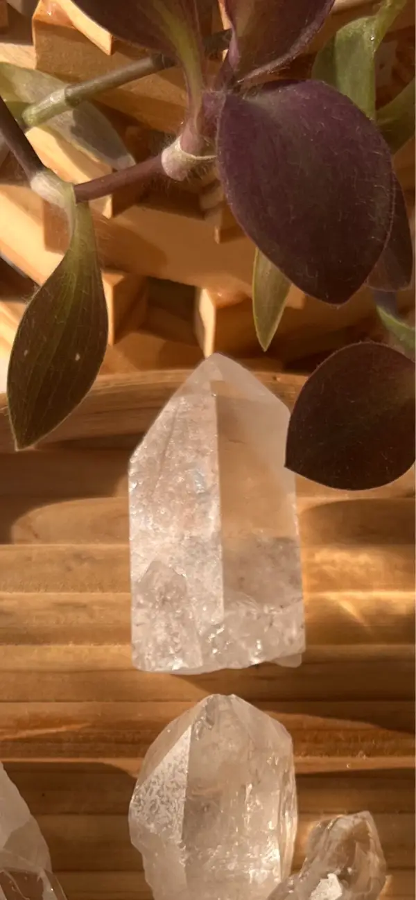 Clear Quartz Points - Image 3