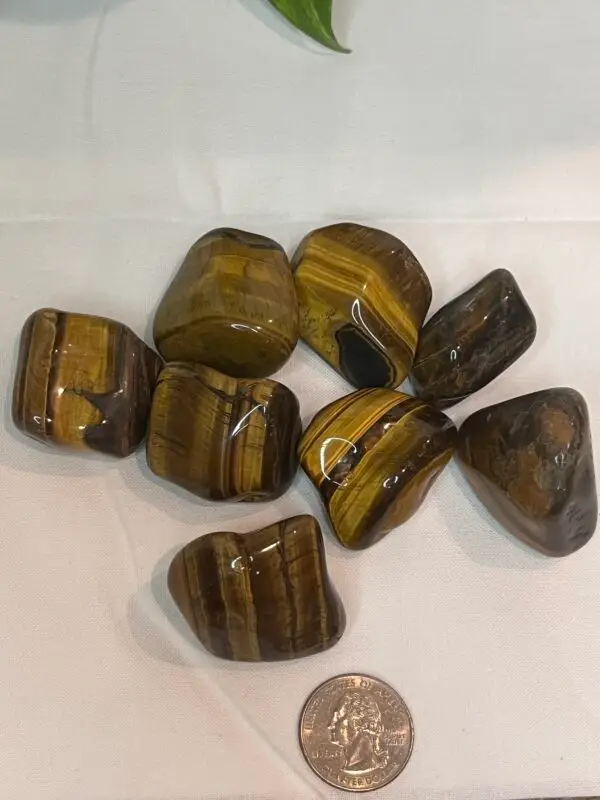 Tiger's Eye, Polished - Image 2